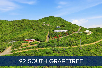 92 South Grapetree Eb 1