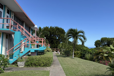 33 Orange Grove Co 1