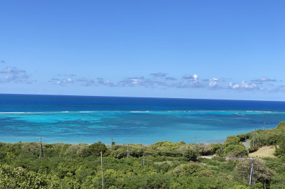 55 North Grapetree Eb 1