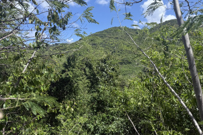 162 Cotton Valley Eb 1