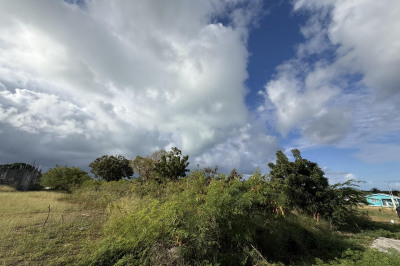 110 White's Bay We 1