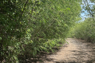 157 Cotton Valley Eb 1