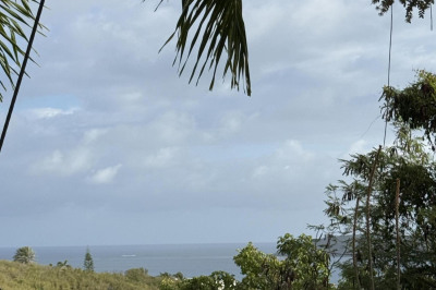 129 Cotton Valley Eb 1