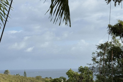 129 Cotton Valley Eb 1