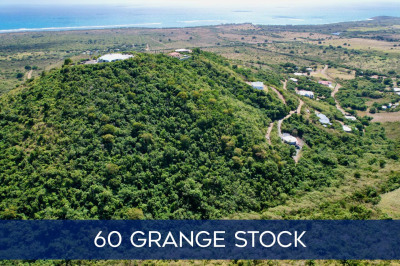 60 Grange Stock Est Co 1
