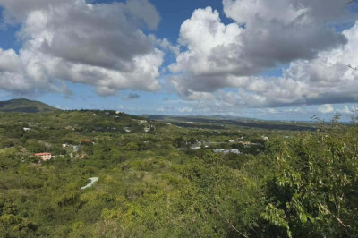 42 St. George Pr 1