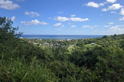 18-a Contentment Co 1