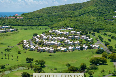445 Teagues Bay Eb 1