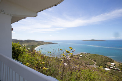 71-b North Grapetree Eb 1