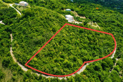 29 Orange Grove We 1