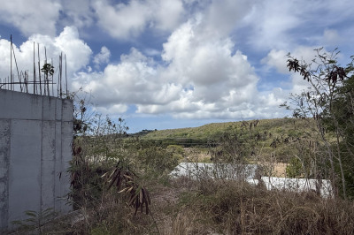 138 & 139 V.i. Corp Lands Pr 1