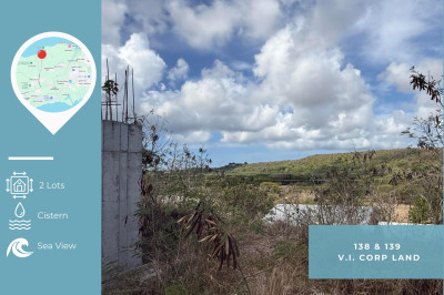 138 & 139 V.i. Corp Lands Pr 1