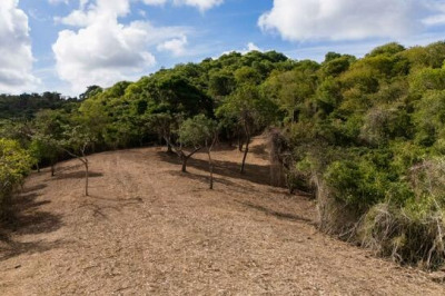 9 - K Montpellier Pr 1