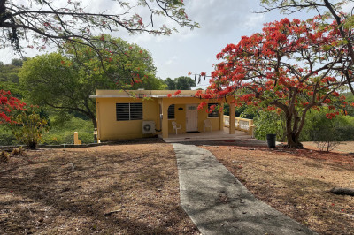 3 Up/dwn Mary's Fancy Qu 1