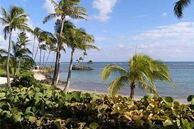 Kahala Beach Condo