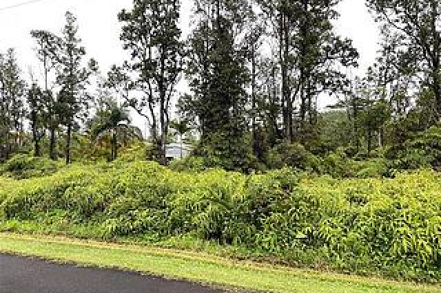 Leilani Estates Land