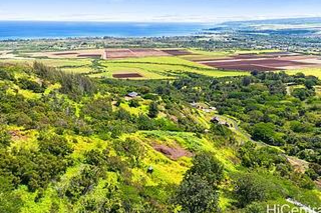 Waialua Land