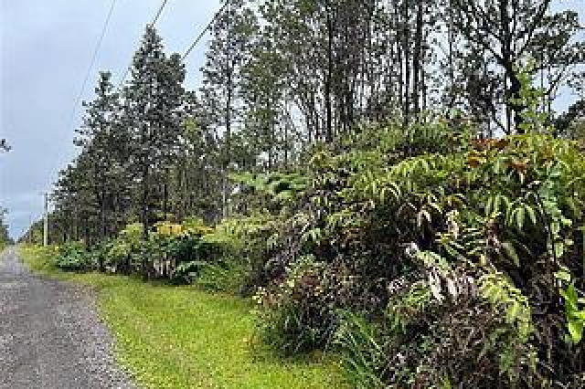 Fern Forest Land