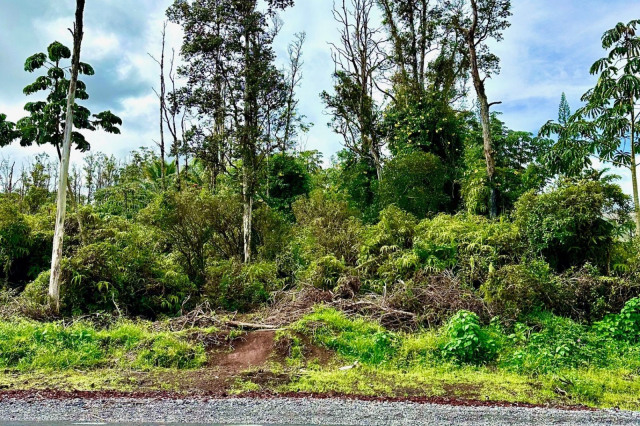 Pahoa Land
