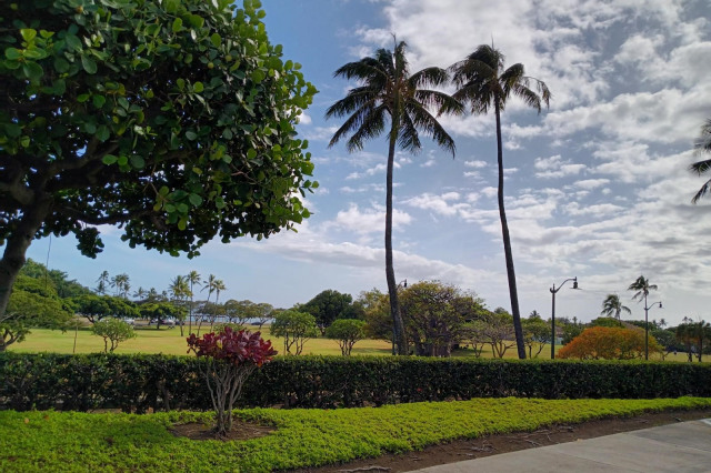 1350 Ala Moana Residential Lease