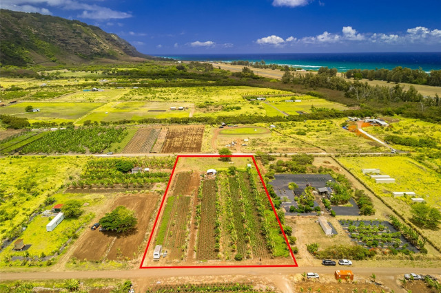 Waialua Land