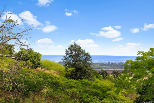 Waialua Land
