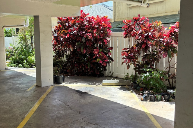 Fern Terrace Condominium