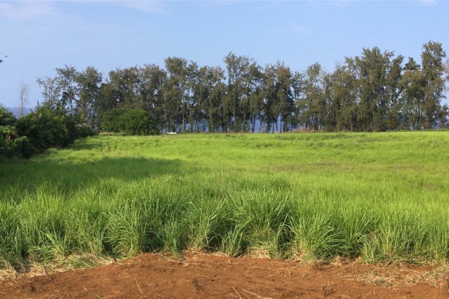 Papaikou Land