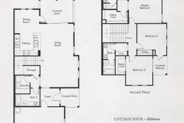 Coconut Plantation Condominium