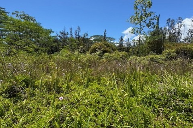 Keaau Land
