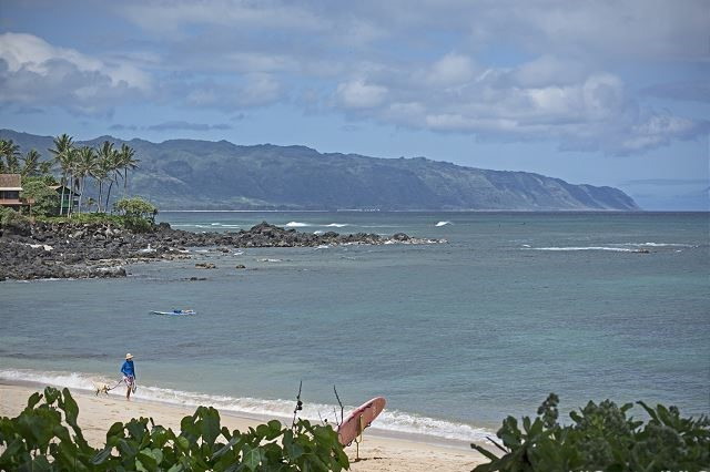 Haleiwa Residential Lease