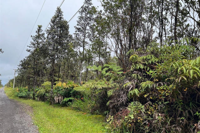 Fern Forest Land