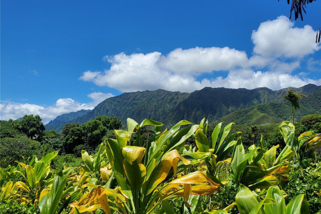 Kaalaea Home Residence