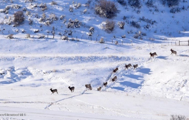 TBD County Road 76 Photo