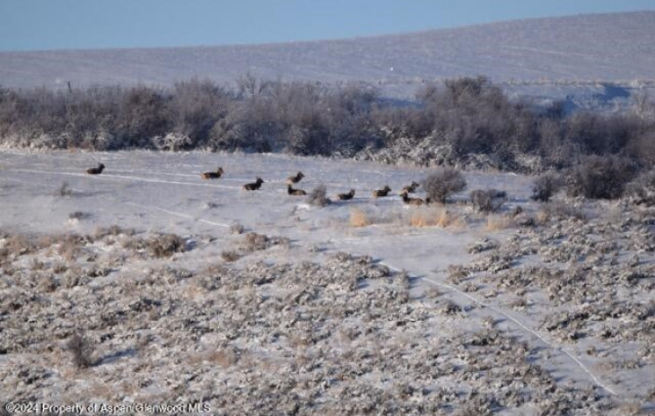 TBD County Road 76 Photo