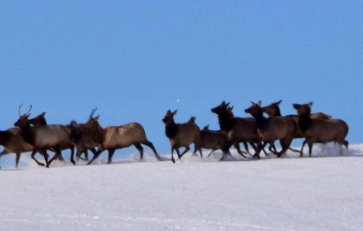 TBD County Road 76 Photo