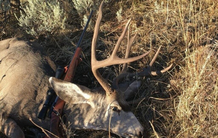 TBD County Road 76 Photo