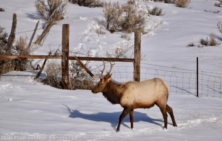 TBD County Road 76 Photo