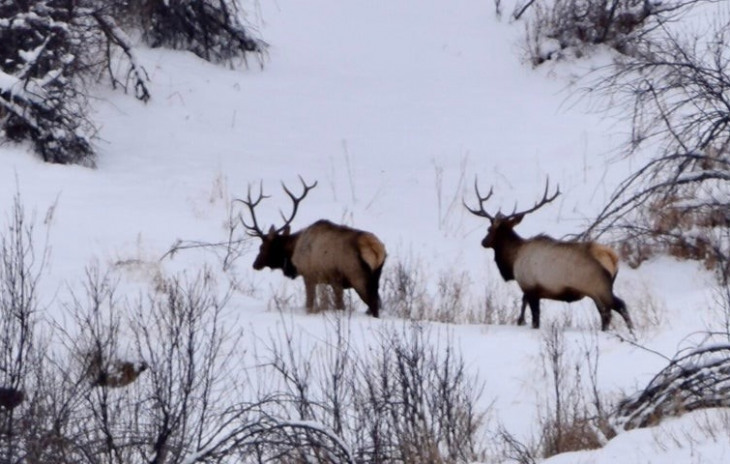 TBD County Road 76 Photo