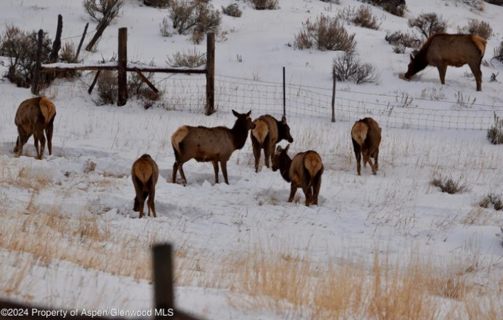 TBD County Road 76 Photo