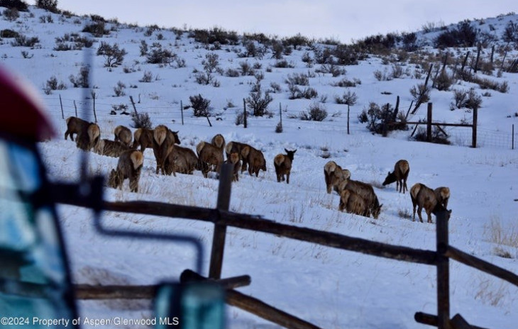 TBD County Road 76 Photo