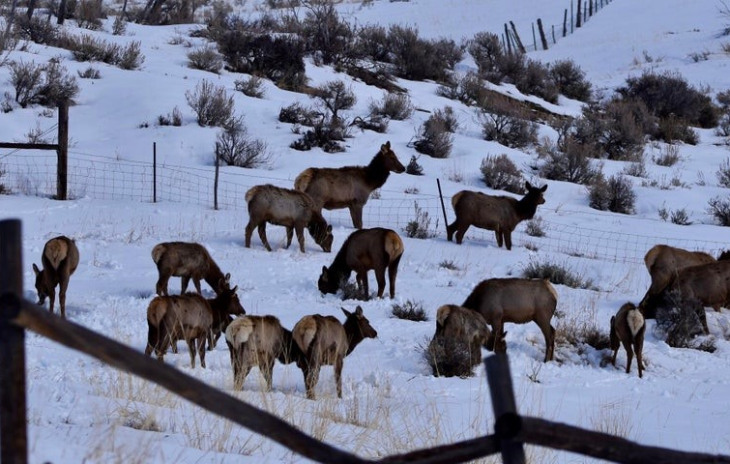 TBD County Road 76 Photo