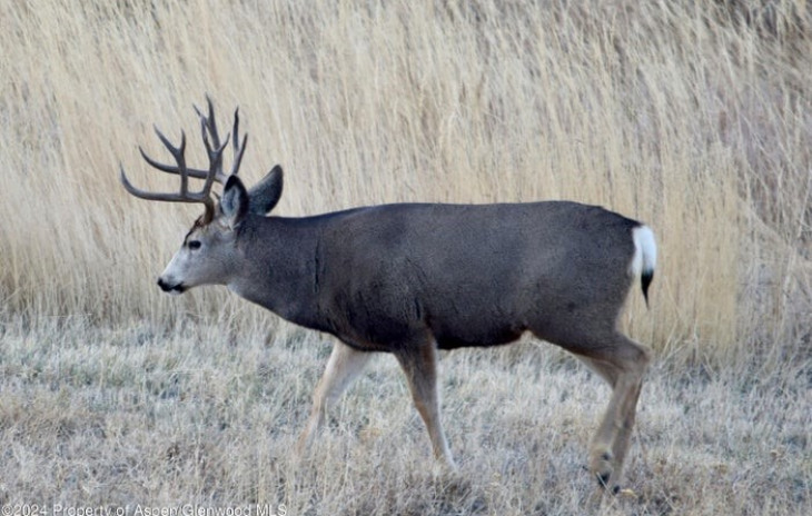 TBD County Road 76 Photo