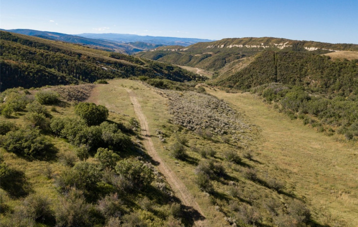 TBD Rcr 52 Photo