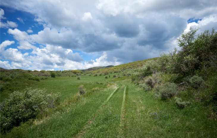 TBD Rcr 52 Photo