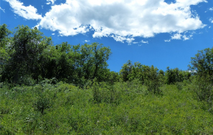26155 High Ridge Drive Photo