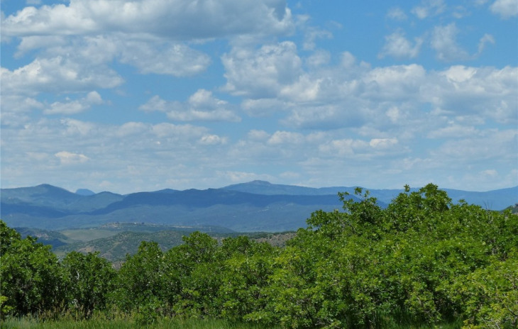 26155 High Ridge Drive Photo