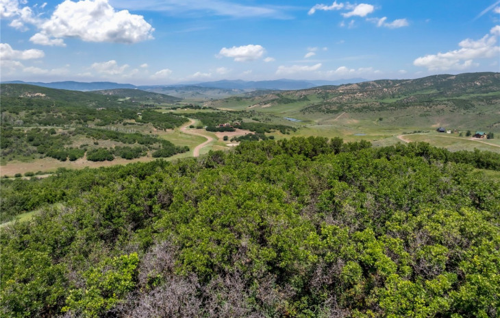 26155 High Ridge Drive Photo