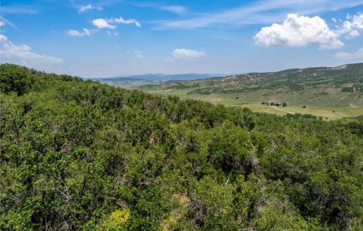 26155 High Ridge Drive Photo