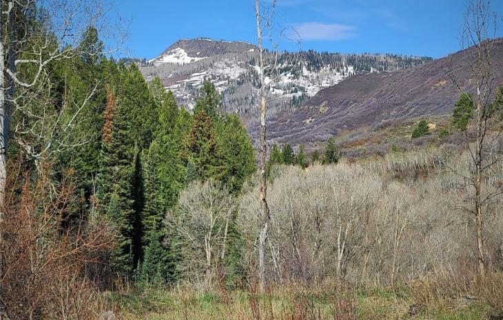 50560 Smith Creek Park Road Photo